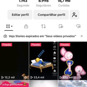 Tiktok Mine car net -6998 Seguidores