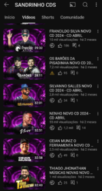 Canal Sandrinho Cds 88,1 mil inscritos - Imagem 3
