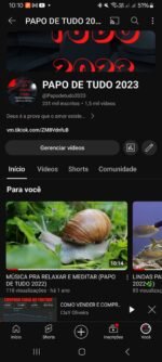 CANAL YOUTUBE 237K-papo de tudo ,aborda todo tipo de conteúdo. - Imagem 6