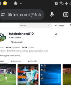 Perfil do tiktok de sucesso ganhe muito dinheiro com o Perfil 6666 Seguidores