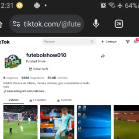 Perfil do tiktok de sucesso ganhe muito dinheiro com o Perfil 6666 Seguidores
