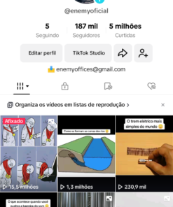 Perfil Tiktok Super Engajado 187k
