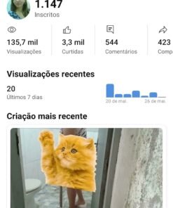 Canal de Rotina 1,14 mil inscritos • 239 vídeos