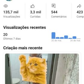Canal de Rotina 1,14 mil inscritos • 239 vídeos