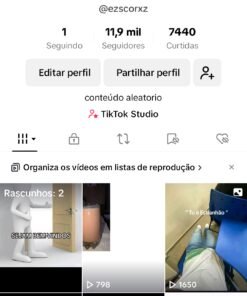 Conta de Tiktok 11900 Seguidores quase monetizada