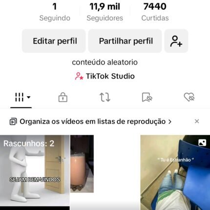 Conta de Tiktok 11900 Seguidores quase monetizada