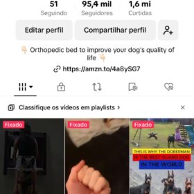 PÁGINA TIKTOK NICHO DE CACHORRO MONETIZADA NA GRINGA - 95K Seguidores