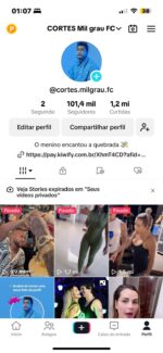 TIKTOK 101K OTIMA OPORTUNIDADE!