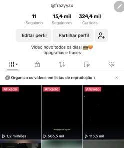 TIKTOK MONETIZADO 15.4K Seguidores 324.6K Curtidas