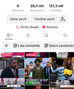 TIK TOK MONETIZADO 28.5K Seguidores 121.4K Curtidas