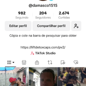 Perfil TikTok com bom engajamento 204 Seguidores