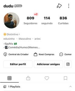 Conta do Kwai com 809 seguidores