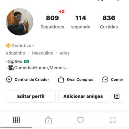 Conta do Kwai com 809 seguidores