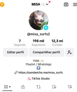 Conta do TikTok @misa_surfs2 198k