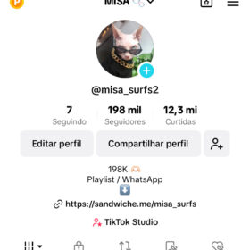 Conta do TikTok @misa_surfs2 198k