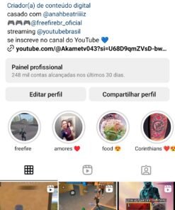 Instagram 489 publicações 21,3 mil seguidores
