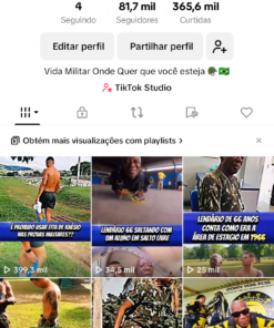 CONTA DE TIKTOK MONETIZADA 81 MIL SEGUIDORES