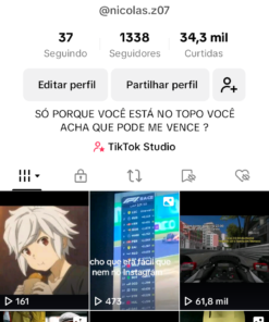 Conta tiktok 1345 seguidores