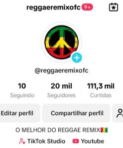 CONTA TIKTOK +DE 20 MIL SEGUIDORES NICHO MÚSICAS - NÃO MONETIZADA
