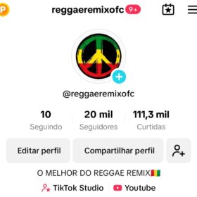 CONTA TIKTOK +DE 20 MIL SEGUIDORES NICHO MÚSICAS - NÃO MONETIZADA