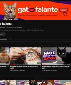 Canal Youtube Gato Falante Com 1k de Inscritos