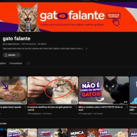 Canal Youtube Gato Falante Com 1k de Inscritos