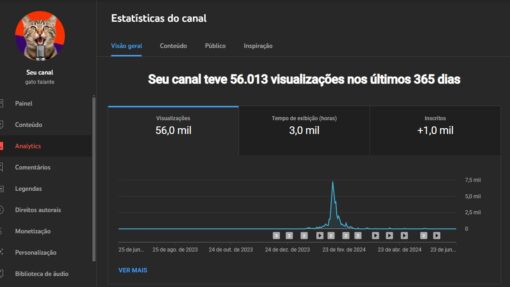 Canal Youtube Gato Falante Com 1k de Inscritos - Imagem 6