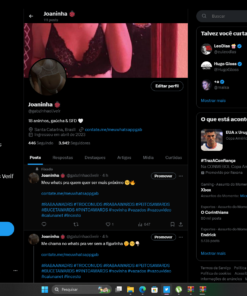 conta no X 3900 segidores (twittwer) para nicho adulto