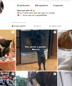 Instagram com mais de 600 Seguidores - Nicho Pet