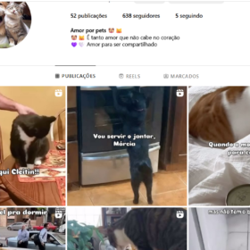 Instagram com mais de 600 Seguidores - Nicho Pet