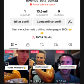 Conta de tik tok (Monetizada) 13.6K Seguidores 1870 Curtidas