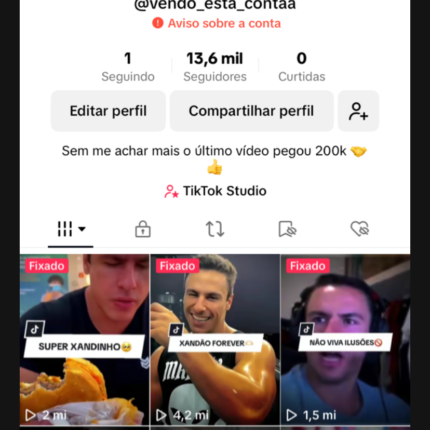 Conta de tik tok (Monetizada) 13.6K Seguidores 1870 Curtidas