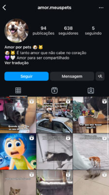 Instagram com mais de 600 Seguidores - Nicho Pet - Imagem 2
