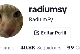 TIKTOK RadiumSy 40.8K Seguidores 100 Curtidas