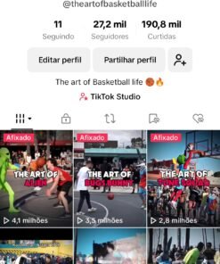 Página TIKTOK de basquete (Streetball) 27.3K Seguidores