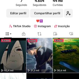Vendo essa conta de tik Tok com +4k de seguidores