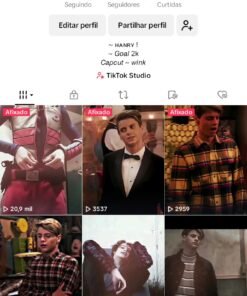 TikTok com mil seguidores ativoss