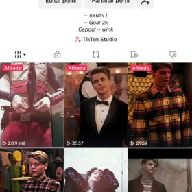 TikTok com mil seguidores ativoss