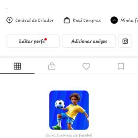 CONTA KWAI 393.9K Seguidores | 11 Seguindo | 92.5K Curtidas - Curiosidades