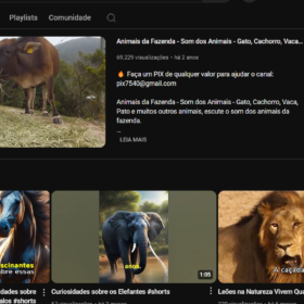 Canal Natureza Divina com 10 Mil Inscritos