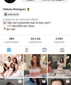 Conta Influencer Maternidade Humor Mulher 20,2 mil seguidores