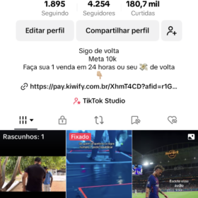 Conta tiktok com 4K de seguidores engajada com mais de 1,4 milhões de visualizações no último mês