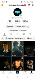 Perfil TikTok com 55.3K de seguidores
