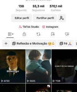Perfil TikTok com 55.3K de seguidores
