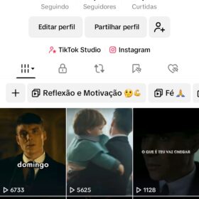 Perfil TikTok com 55.3K de seguidores