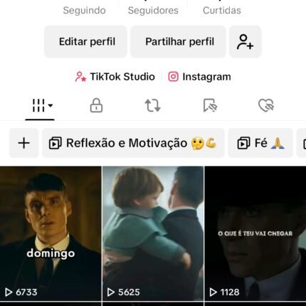 Perfil TikTok com 55.3K de seguidores
