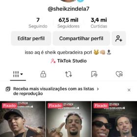 TIKTOK - 67.5K Seguidores 3.4M Curtidas