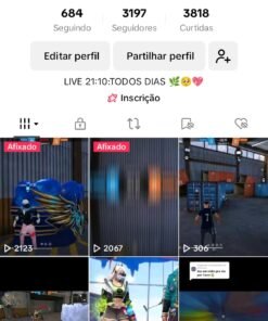 TIK TOK 3K BEM ENGAJADO GAMER pega boas viws e crescendo rápido