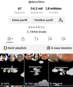 Conta Tik Tok 54,5 mil seguidores