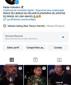 Conta Instagran orgânico 4600 seguidores